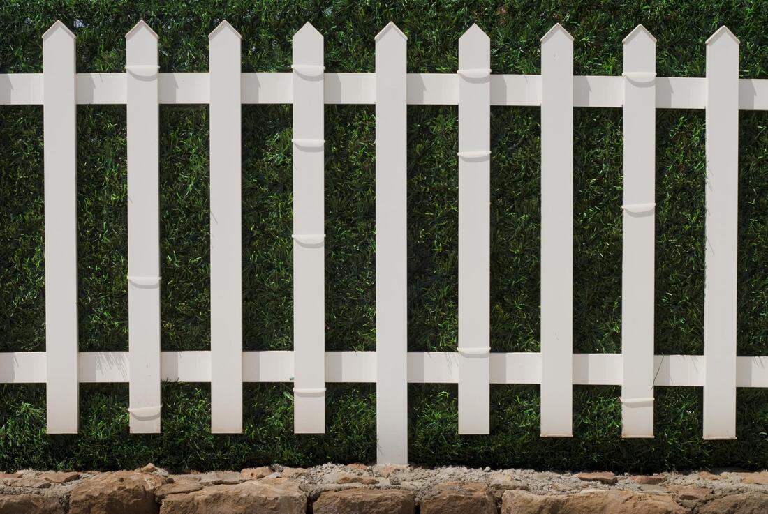 white vinyl fence near the plant